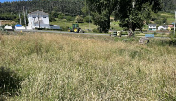 2022-07-08 12.41.08_640x480.jpg